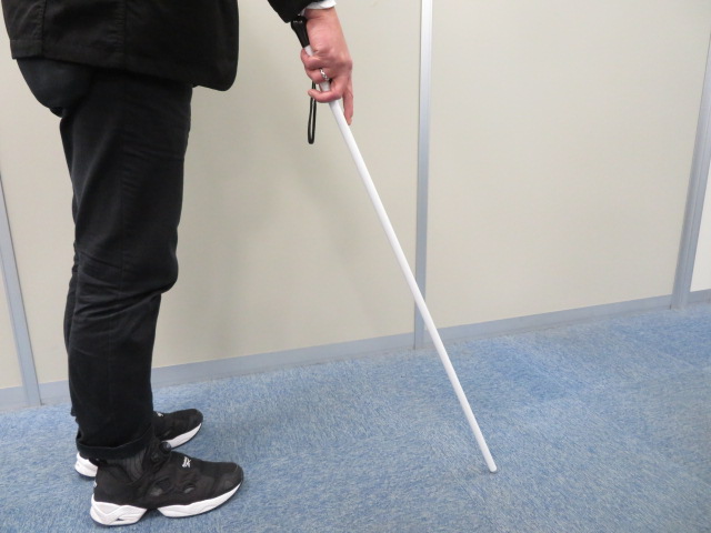 白杖（１０本）